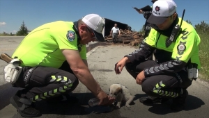 Kırıkkale'de tomruk yüklü tırın devrildiği kazada sürücü yaralandı
