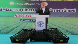 Kızılcahamam'da 457 bin sebze fidesi dağıtıldı