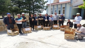 Nevşehir'de çitçilere ücretsiz 500 yavru kaz dağıtıldı