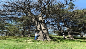 Sarıçalı Dağı Milli Parkı Uzun Devreli Geliştirme Planı Hazırlık Toplantısı yapıldı