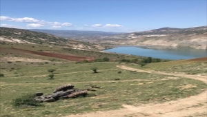 Sivas'ta devrilen traktörün sürücüsü öldü