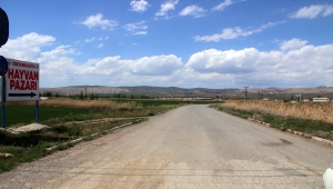 Türkiye'nin en büyük canlı hayvan pazarının kapasitesi artırılacak