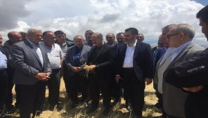 AK Parti Kırıkkale Milletvekili Can, doludan zarar gören alanlarda incelemelerde bulundu