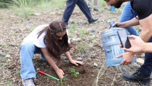 Ankara Adliyesi çalışanları yüzlerce fidanı toprakla buluşturdu 