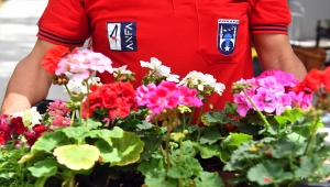 Ankara Büyükşehir Belediyesi "Çiçeğim Takas" uygulamasını başlatacak