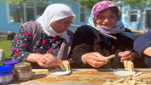 Bahadın Yaşlanma Vakfı'nda yaşlılar çamaşır mandallarından saksı yapıyor