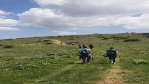 Beypazarı'nda Dünya Çevre Günü dolayısıyla yürüyüş düzenlendi