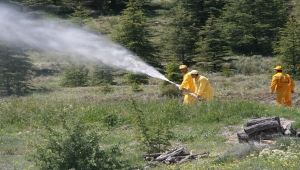 Beypazarı Orman İşletme Müdürlüğü personeline yangına müdahale eğitimi verildi