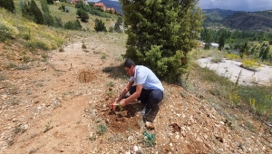 Bozkır'da ağaç dikme etkinliği