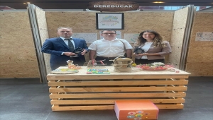 Derebucak Çok Programlı Anadolu Lisesi'ne proje ödülü