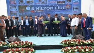 Kahramankazan'da çiftçilere ata tohumundan üretilen 500 bin fide dağıtıldı