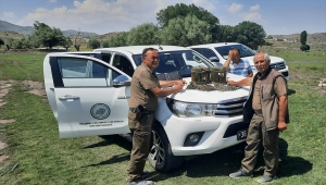 Kayseri'de kaçak keklik avlayan kişiye 7 bin 500 lira ceza kesildi