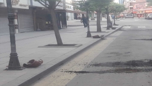 Kırıkkale'de caddelerdeki çiçeklere zarar veren kişi yakalandı