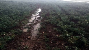 Kırıkkale'de dolu ve sağanak etkili oldu