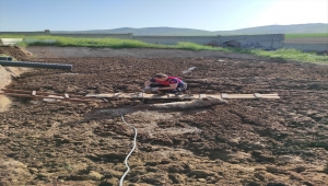 Kırşehir'de bataklığa düşen 2 büyükbaşı itfaiye kurtardı