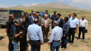 Konya'da dolu nedeniyle ekili arazilerdeki hasar