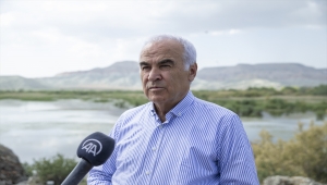 Nallıhan'da düzenlenen foto safari doğaseverleri bekliyor