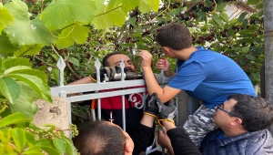 Sivas'ta bir çocuk eline saplanan demirle hastaneye kaldırıldı