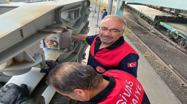 Sivas'ta vagona sıkışan kedi yavrusunu itfaiye ekipleri kurtardı