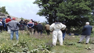 Sivas'ta yıldırım isabet eden çoban hayatını kaybetti, 6 keçi telef oldu 