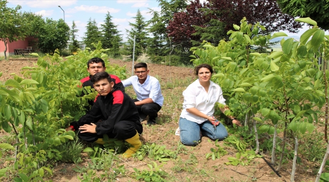 Tarım lisesi öğrencileri Kaman cevizi ve yöresel ürünler yetiştiriyor