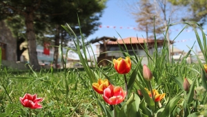 "Yalıhüyük ve Bahar" konulu fotoğraf yarışması sonuçlandı