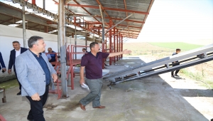 Çubuk'ta 118 kurban kesim yerine geçici ruhsat verildi