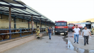 Çubuk'ta ahırda çıkan yangın söndürüldü