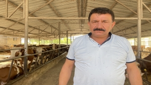 Dolandırıcılara kurbanlıklarını kaptıran besici, 6 yıl sonra şüphelilerin yakalanmasıyla teselli buldu