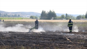Eskişehir'de 40 dönüm tarım arazisi yangında zarar gördü