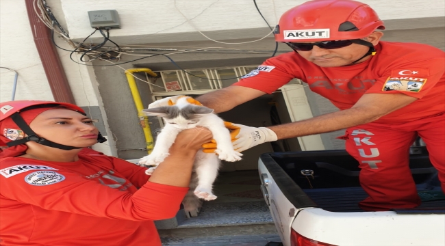 Eskişehir'de pencere pervazında mahsur kalan kedi kurtarıldı