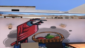 istegelsin Bodrum'un kırmızı papağanlarını sahiplendi