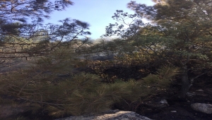 Karaman'da çıkan orman yangınına müdahale ediliyor