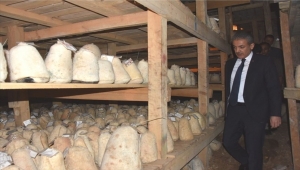 Karaman Valisi Akkoyun Divle Obruğunu gezdi