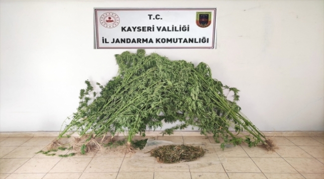 Kayseri'de uyuşturucu operasyonu: Çeşitli miktarlarda uyuşturucu madde ele geçirildi, 1 gözaltı