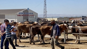 Kırşehir'de hayvan pazarında yoğunluk arttı
