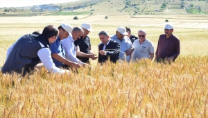Kırşehir'de "Tarla Günü" etkinliği düzenlendi