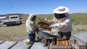 Konya'da Bilici çifti 29 yıldır "bal mesaisi" yapıyor