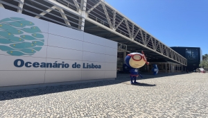 Lizbon'daki "Okyanus Akvaryumu" yılda 1 milyonun üzerinde ziyaretçiyi ağırlıyor