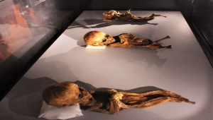 Mumyalarıyla ünlü Aksaray Müzesi'ni yılda 15 bin kişi ziyaret ediyor