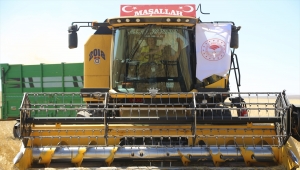 Nevşehir Valisi İnci Sezer Becel, hasat etkinliğinde biçerdöver kullandı