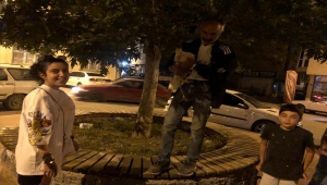 Seydişehir'de yaralı leyleğe belediye ekipleri sahip çıktı