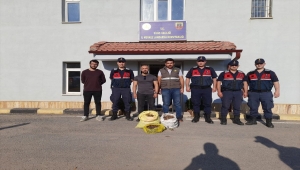 Sivas'ta salep soğanı toplayan 9 kişiye 986 bin 337 lira ceza