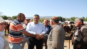 Suşehri'nde hayvan pazarında Kurban Bayramı yoğunluğu yaşanıyor