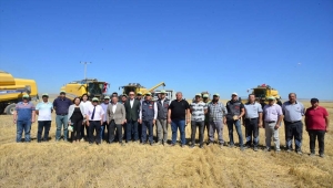 Vali Buhara, Malya Tarım İşletmesinde buğday hasadına katıldı