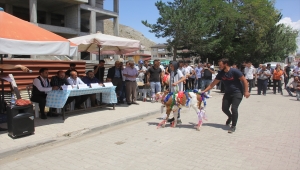 Zara'da buzağı yarışması düzenlendi