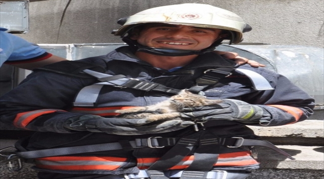 Ankara İtfaiyesinden bir ayda 903 hayvan kurtarma operasyonu