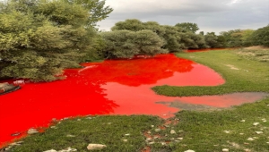Balıkesir'deki Karapürçek Deresi'nde kirliliğe neden olan kişiye para cezası