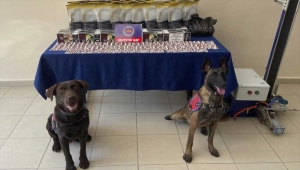 Çankırı'da uyuşturucu operasyonunda 2 zanlı tutuklandı