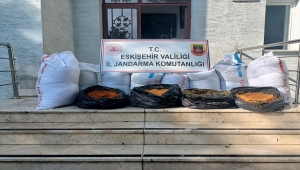 Eskişehir'de tarihi eser operasyonunda 6 şüpheli yakalandı